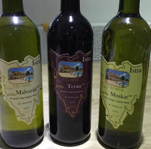 Apartman Mimi Visnjan